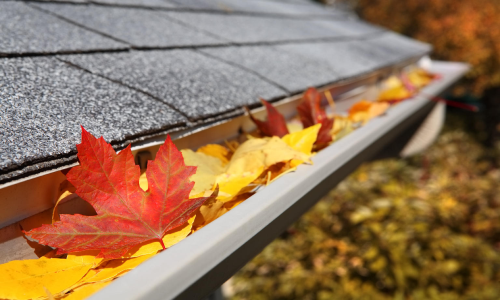 domestic home repairs